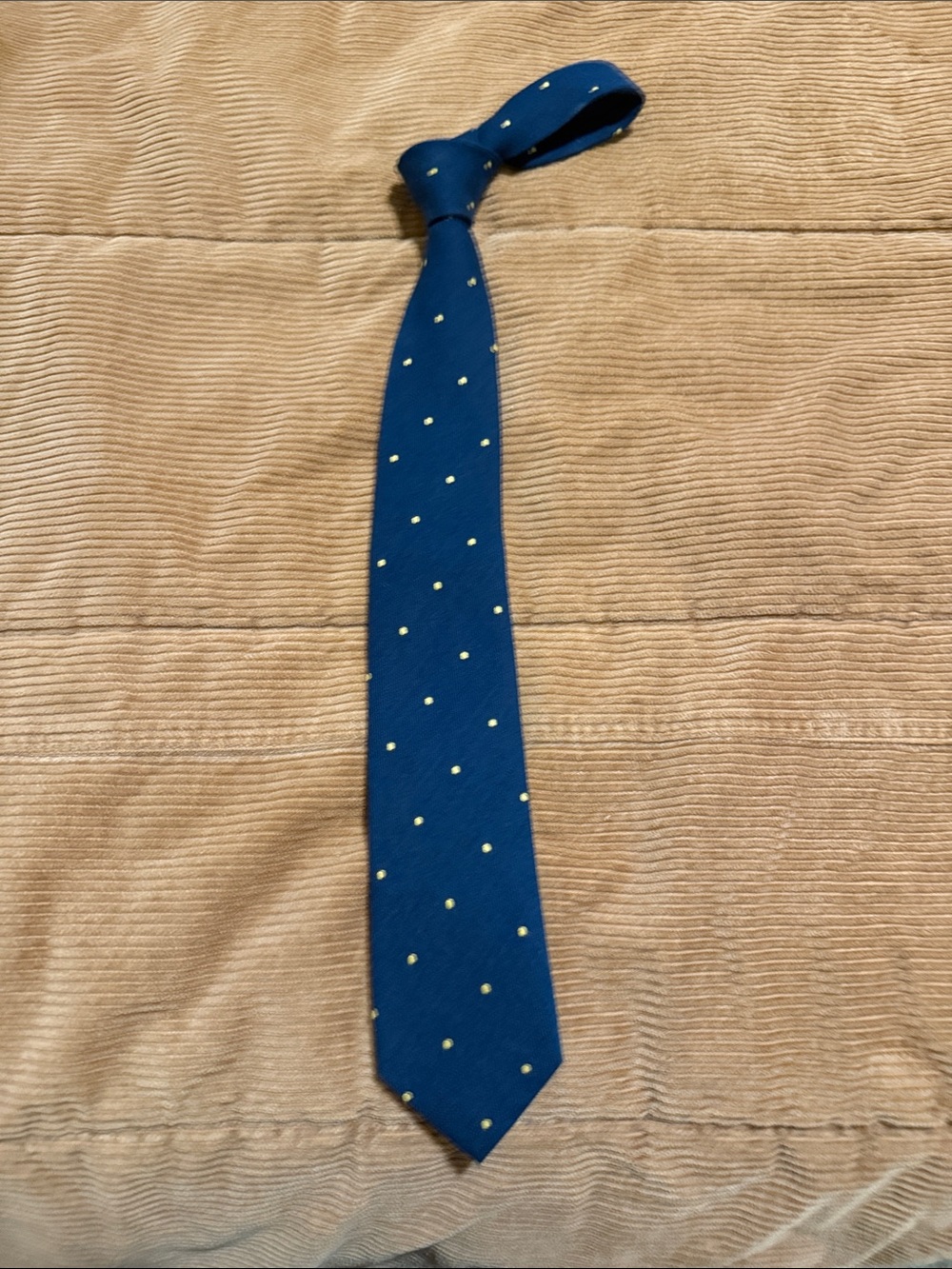 Like new The Tie Bar Blue Tie with Small Yellow Dots